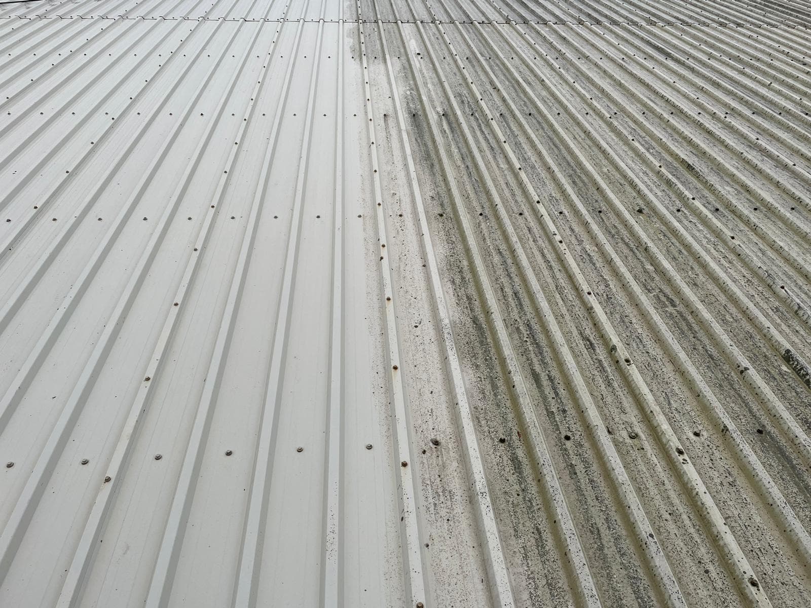 Commercial cladding mid-clean — cleaned panels beside algae-covered panels on an industrial unit, Devon — Brixham
