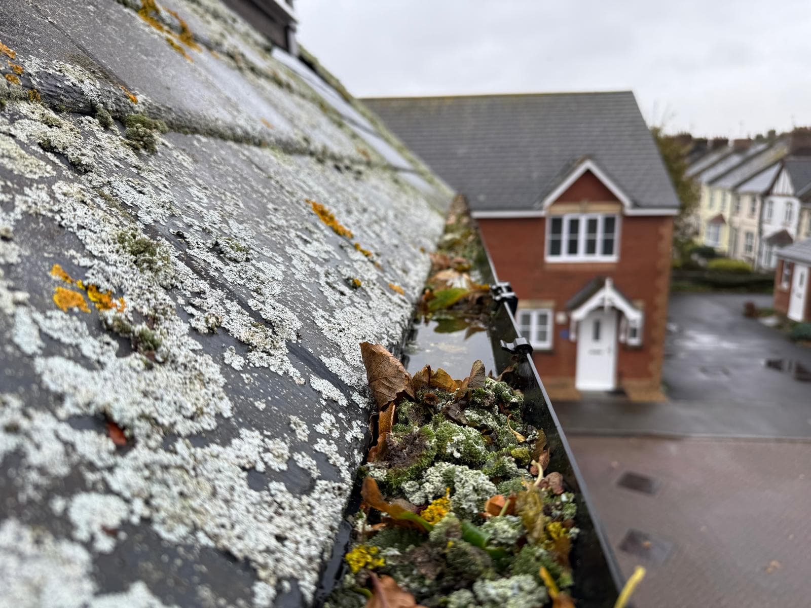 Moore & Franks work in Teignmouth