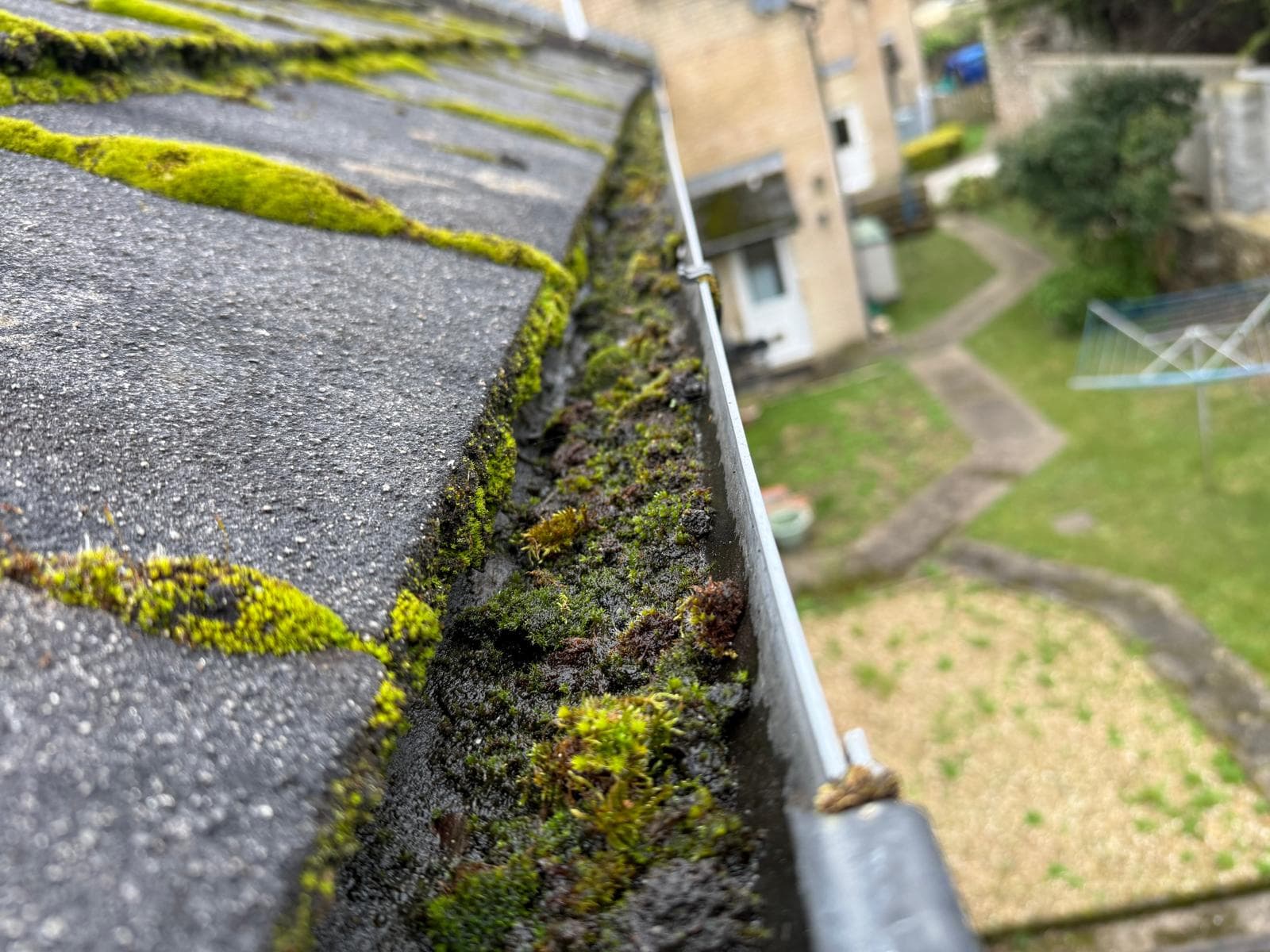 Roof-level view along a moss-blocked gutter on a Devon home, garden below — Cullompton