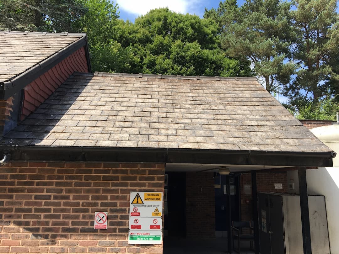 Devon roof after Moore & Franks soft-wash