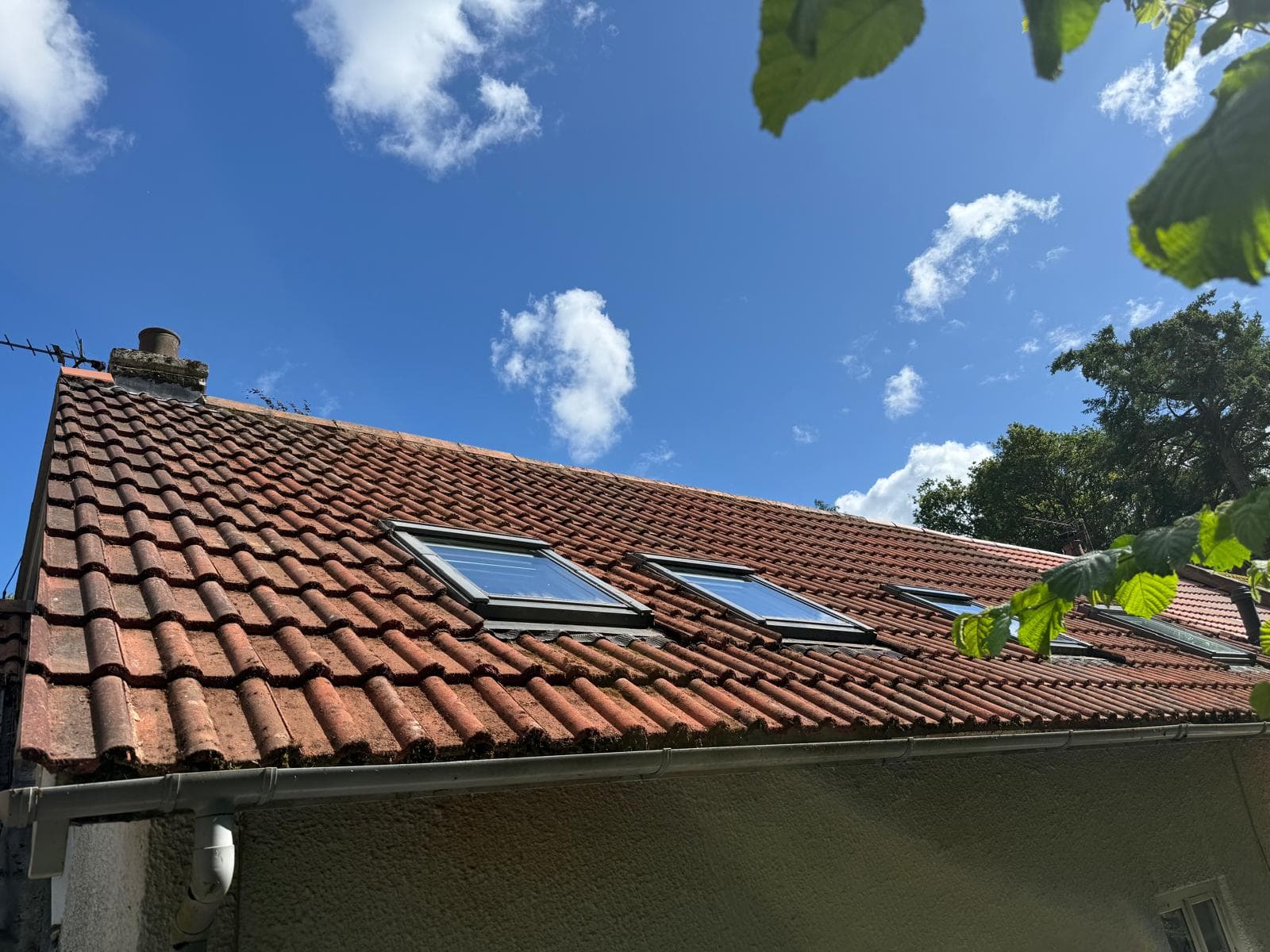 Cleaned clay-tiled pitched roof with skylights under blue sky after moss removal, Devon — Cullompton