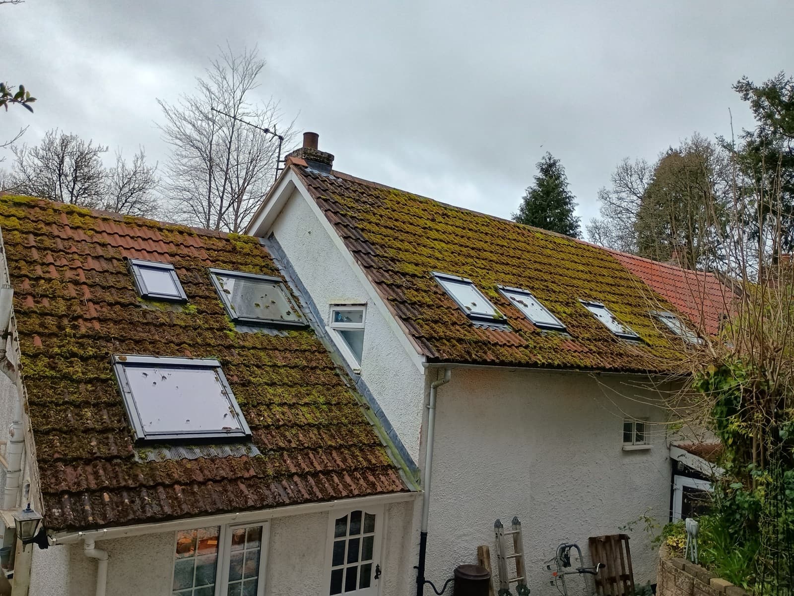 Devon cottage roof before Moore & Franks cleaning — heavy moss on the tiles